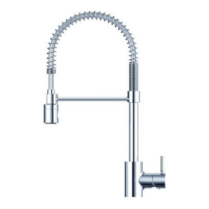 Danze D455557 Opulence Single Handle Kitchen Faucet Traditional