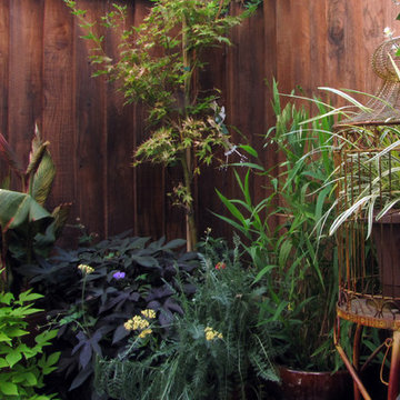 Pleasant Hill Courtyard Garden