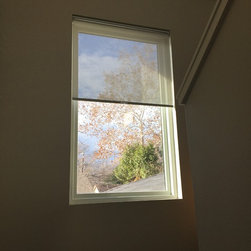 Solar Roller Shade - Window Treatments