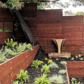 Low Voltage LED's Illuminate Drought Tolerant Planting