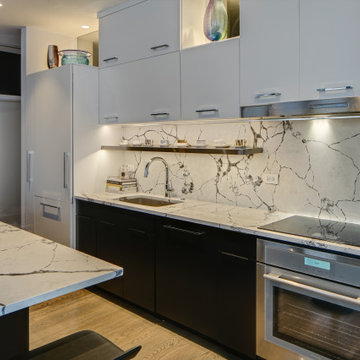 Modern Condo Remodel