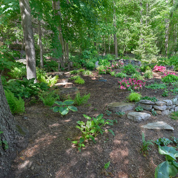 Woodland Garden on a Slope
