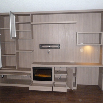 Entertainment Systems & Media Centers