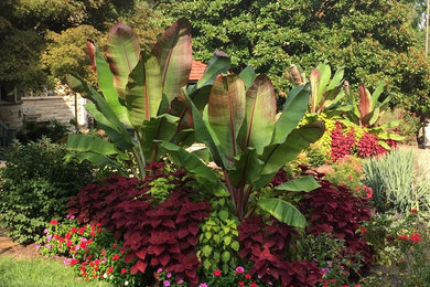 Inspiration for a landscaping in St Louis.
