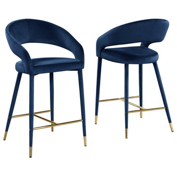 Jacques Velvet Navy Counter Height Dining Chairs (Set of 2)
