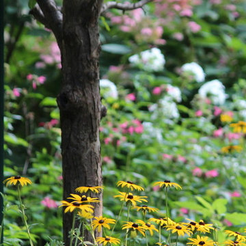 Perennial Garden