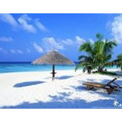 Kim Rosen's photo