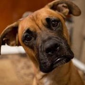 Michelle Collins's photo