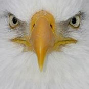 Teresa Wolf's photo