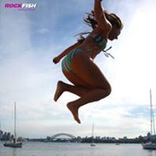 Nicole Zink's photo