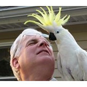 Larry Krefman's photo