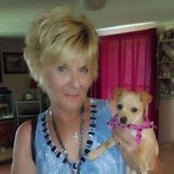 Diane Groke's photo