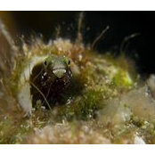 Anne Stevens's photo
