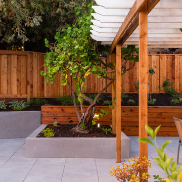 Zen Pool Garden