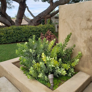 Encinitas Residence