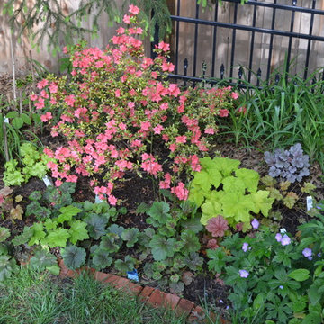 DIY Landscape - Woodland or Shade Gardening