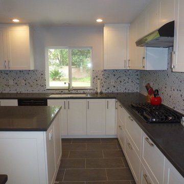 Scher Kitchen Remodel