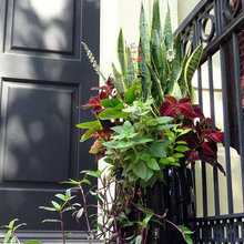 Planter ideas