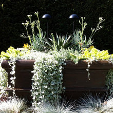 Flowerpots
