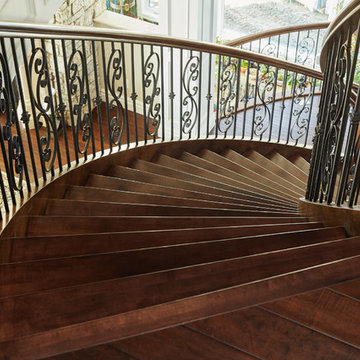 Elegant Maple Curve
