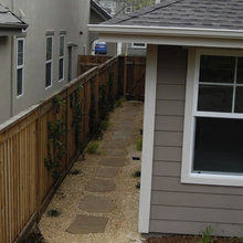 Landscape Ideas