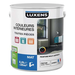 Peinture gris Luxens - Paint