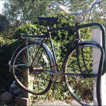 Bicycle Gate