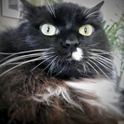Catherine Grace's photo