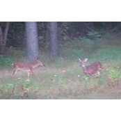 Jennifer Herndon's photo