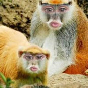 Foto von Abbi Apthorpe