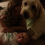 Cindy Schutt's photo