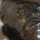 webuser_346120530