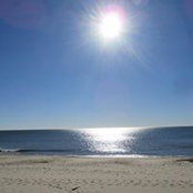 Mike Bryer's photo