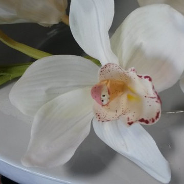 In store pre-designed Arrangements
