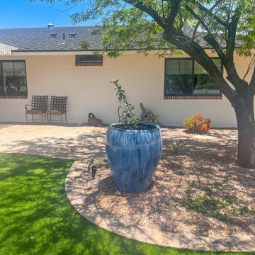 Outdoor Oasis in PHX