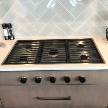 Downtown Denver High Rise Kitchen Renovation