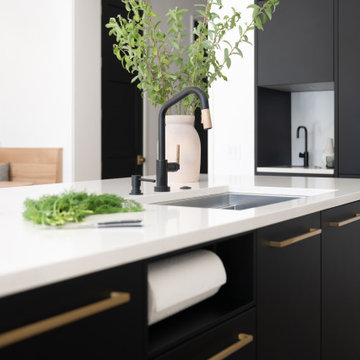 Ultra Sleek Kitchen on the Hill