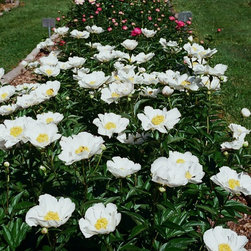Re-opening Spring 2016  Weekends beginning April 16, 2016 - Products
