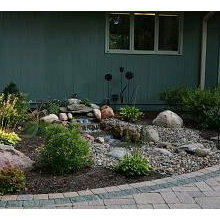 Landscape Ideas