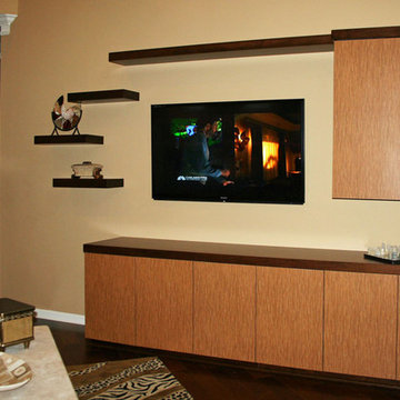 Modern Entertainment Wall Unit