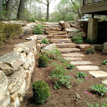Back Yard Renovation