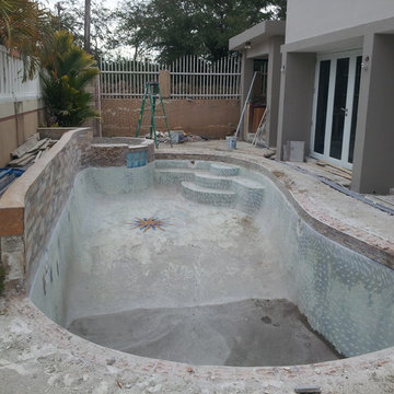 Pool Restyling @ San Fernando (Carolina)