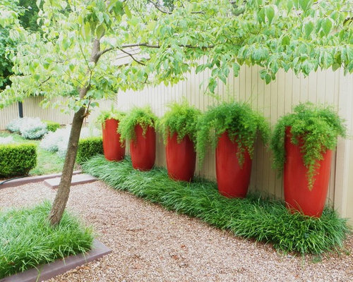 Outdoor Potted  Plant  Houzz