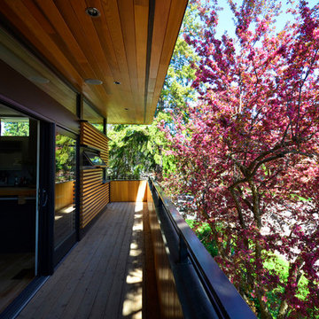 Treehouse