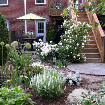 Black & White Garden