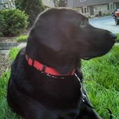 Gretchen Reiss's photo