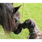 Evi Vandersmissen's photo
