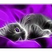Debbie Joyce's photo