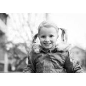 Kevin Metz's photo
