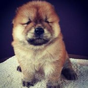 Bryan Hong's photo